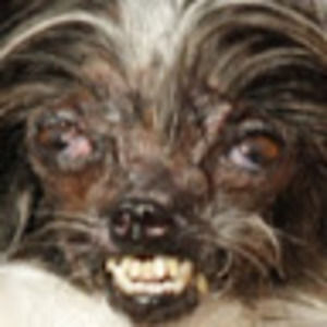 Meet your Posher, Nathaniel